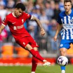 1Gom – Tỷ lệ bóng đá trận Brighton vs Liverpool, 2h00 ngày 20/5, Ngoại hạng Anh